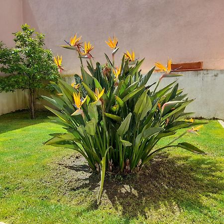 A Casa Da Avo Ana Villa Arneiro das Milharicas Екстериор снимка