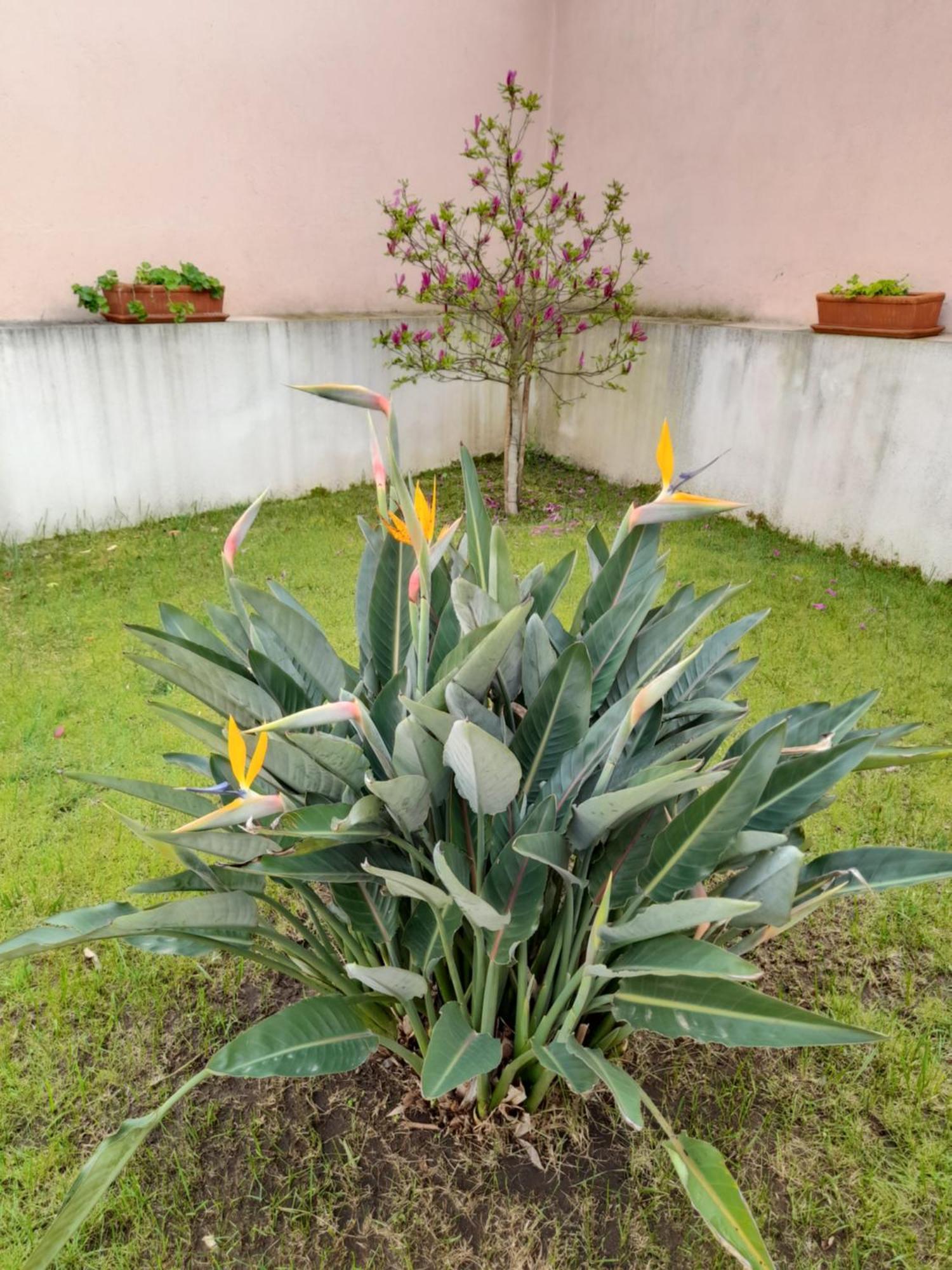 A Casa Da Avo Ana Villa Arneiro das Milharicas Екстериор снимка